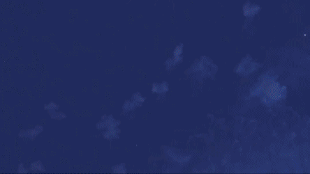 Stand for Art, Stand for Freedom: An Urgent Call to Action