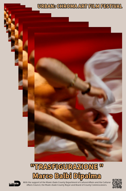 Marco Balbi Dipalma “Trasfigurazione”